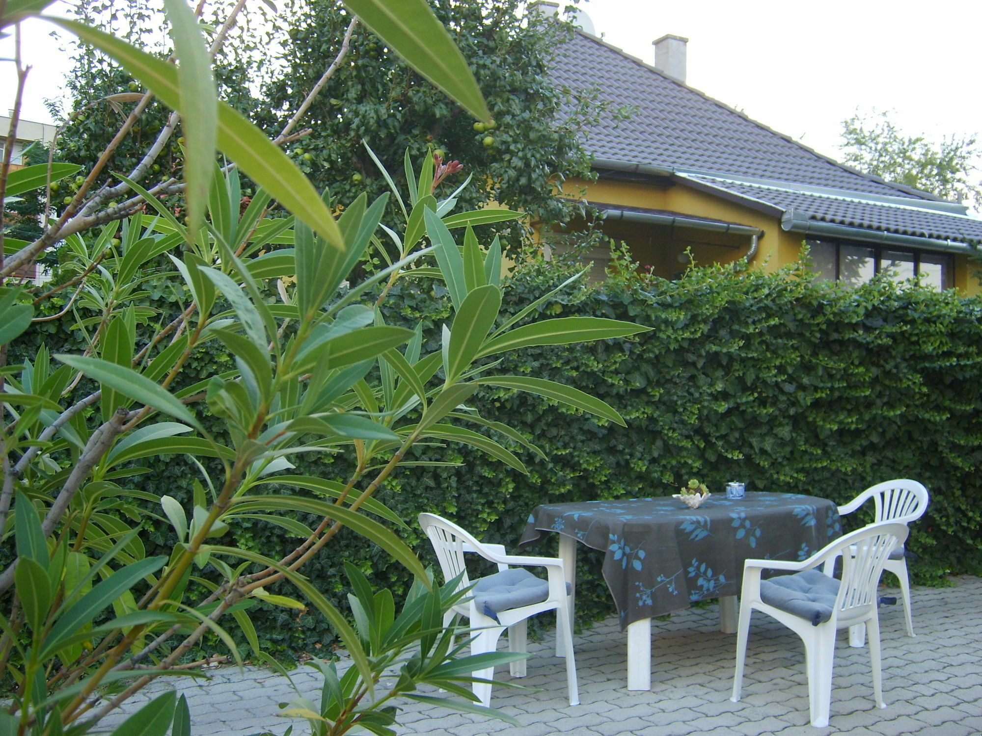 Irini Panzio Hotel บูดาเปสต์ ภายนอก รูปภาพ